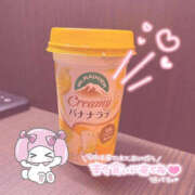 ヒメ日記 2025/10/24 10:46 投稿 いちか先生 Private lesson(水戸)