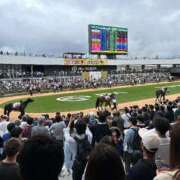 ヒメ日記 2025/10/19 13:22 投稿 ひびき イキスギGOGOヘブン