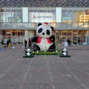 ヒメ日記 2025/12/08 17:45 投稿 あゆか 熟女の風俗最終章 錦糸町店