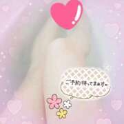 ねね 出勤しました♡ 熟女家 東大阪店（布施・長田）