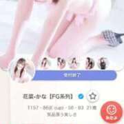 花菜-かな【FG系列】 満枠( ??? )?? ほんつま 沼津店 (FG系列)
