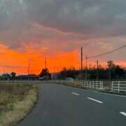 ヒメ日記 2025/11/27 17:11 投稿 あげは 宮城仙南ちゃんこ