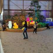 レイラ 今日は クイック（Quick）