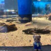 ヒメ日記 2026/07/04 23:48 投稿 ちか CLUB ROOKIE（ルーキー）