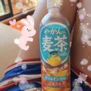 ヒメ日記 2025/10/10 17:16 投稿 こはな ギャルズネットワーク神戸