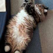 ヒメ日記 2025/10/17 19:16 投稿 りん 新潟デリヘル倶楽部