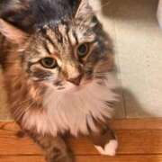 ヒメ日記 2025/10/18 16:36 投稿 りん 新潟デリヘル倶楽部