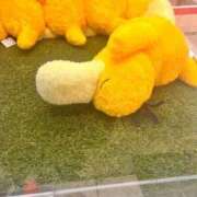 ヒメ日記 2025/10/20 00:06 投稿 りん 新潟デリヘル倶楽部