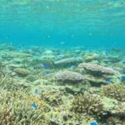 ヒメ日記 2025/10/22 17:46 投稿 りん 新潟デリヘル倶楽部