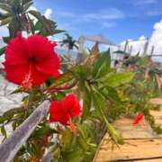 ヒメ日記 2025/10/24 22:16 投稿 りん 新潟デリヘル倶楽部