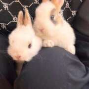 ヒメ日記 2025/10/29 22:56 投稿 りん 新潟デリヘル倶楽部