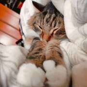 ヒメ日記 2025/10/29 23:06 投稿 りん 新潟デリヘル倶楽部