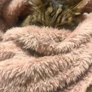 りん おはよぉー🫶 新潟デリヘル倶楽部