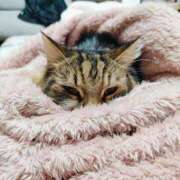 りん おはよぉ☀️ 新潟デリヘル倶楽部