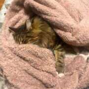 りん ☔️ 新潟デリヘル倶楽部