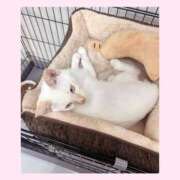 ヒメ日記 2025/10/14 23:27 投稿 のの♡完全業界未経験♡ もえたく