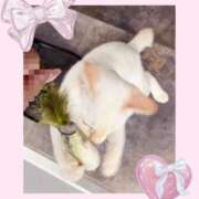 ヒメ日記 2025/10/16 16:27 投稿 のの♡完全業界未経験♡ もえたく