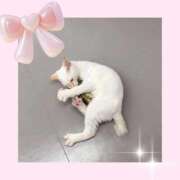 ヒメ日記 2025/10/18 16:27 投稿 のの♡完全業界未経験♡ もえたく