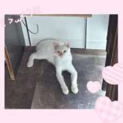 ヒメ日記 2025/10/18 23:06 投稿 のの♡完全業界未経験♡ もえたく