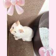 ヒメ日記 2025/10/25 15:57 投稿 のの♡完全業界未経験♡ もえたく