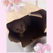 ヒメ日記 2025/10/28 11:37 投稿 のの♡完全業界未経験♡ もえたく