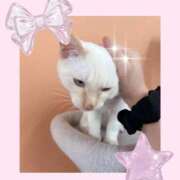 ヒメ日記 2025/10/29 15:37 投稿 のの♡完全業界未経験♡ もえたく