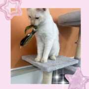 ヒメ日記 2025/11/14 14:46 投稿 のの♡完全業界未経験♡ もえたく