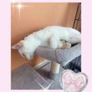 ヒメ日記 2025/11/28 15:57 投稿 のの♡完全業界未経験♡ もえたく