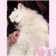 ヒメ日記 2025/12/04 16:57 投稿 のの♡完全業界未経験♡ もえたく