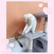 ヒメ日記 2025/12/05 11:57 投稿 のの♡完全業界未経験♡ もえたく