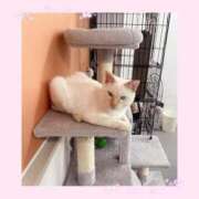 ヒメ日記 2025/12/07 12:37 投稿 のの♡完全業界未経験♡ もえたく