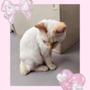 ヒメ日記 2026/01/16 14:57 投稿 のの♡完全業界未経験♡ もえたく