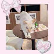 ヒメ日記 2026/01/27 13:17 投稿 のの♡完全業界未経験♡ もえたく