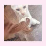 ヒメ日記 2026/01/28 13:37 投稿 のの♡完全業界未経験♡ もえたく