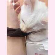 ヒメ日記 2026/01/28 18:57 投稿 のの♡完全業界未経験♡ もえたく