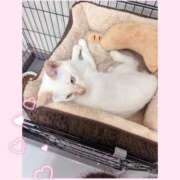 ヒメ日記 2026/02/04 12:47 投稿 のの♡完全業界未経験♡ もえたく