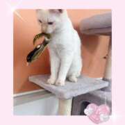 ヒメ日記 2026/02/04 22:27 投稿 のの♡完全業界未経験♡ もえたく