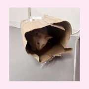 ヒメ日記 2026/02/06 12:30 投稿 のの♡完全業界未経験♡ もえたく