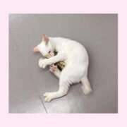 ヒメ日記 2026/02/06 19:27 投稿 のの♡完全業界未経験♡ もえたく