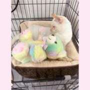 ヒメ日記 2026/02/22 16:37 投稿 のの♡完全業界未経験♡ もえたく