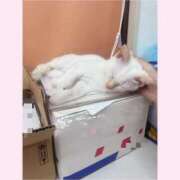 ヒメ日記 2026/03/01 13:17 投稿 のの♡完全業界未経験♡ もえたく