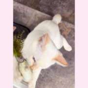 ヒメ日記 2026/03/03 13:27 投稿 のの♡完全業界未経験♡ もえたく