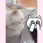 ヒメ日記 2026/03/05 19:47 投稿 のの♡完全業界未経験♡ もえたく