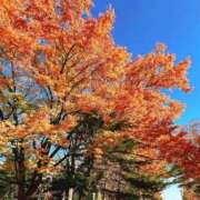 ヒメ日記 2025/11/04 13:57 投稿 はにか 全裸のいいなり美女OR満員ちかん電車