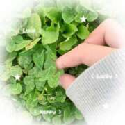 ヒメ日記 2025/12/08 19:07 投稿 あかね【店推し特待生】 もえたく