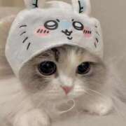 ヒメ日記 2026/02/22 20:37 投稿 あかね【店推し特待生】 もえたく