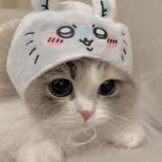 ヒメ日記 2026/04/05 22:07 投稿 あかね【店推し特待生】 もえたく