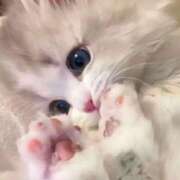 ヒメ日記 2026/04/13 16:47 投稿 あかね【店推し特待生】 もえたく