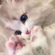 ヒメ日記 2026/04/18 19:57 投稿 あかね【店推し特待生】 もえたく