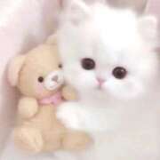 ヒメ日記 2026/04/20 20:07 投稿 あかね【店推し特待生】 もえたく